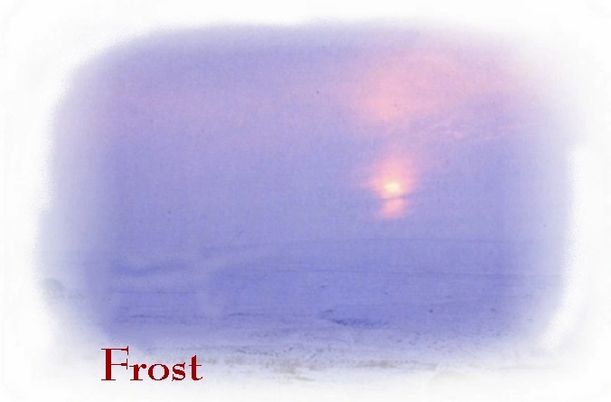 Misty winter scene with setting sun